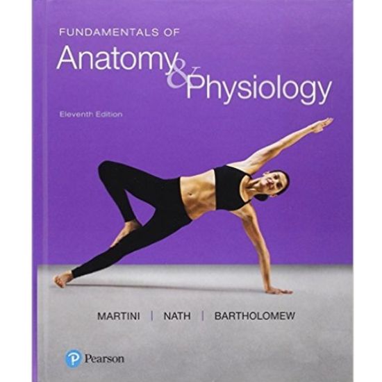 Picture of FUNDAMENTALS OF ANATOMY & PHYSIOLOGY