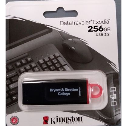 Picture of 256GB B&S FLASH DRIVE